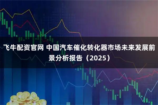飞牛配资官网 中国汽车催化转化器市场未来发展前景分析报告（2025）