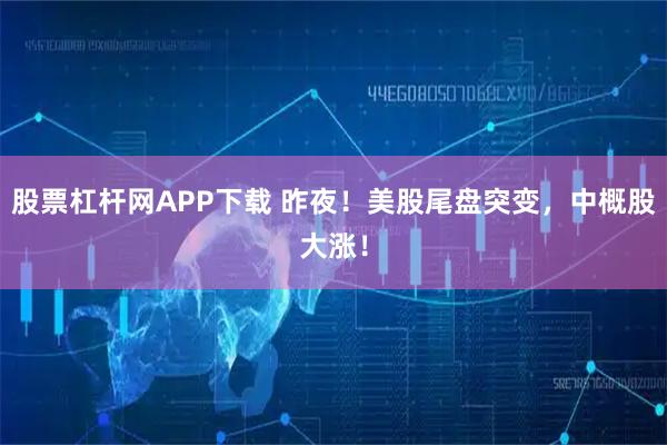 股票杠杆网APP下载 昨夜！美股尾盘突变，中概股大涨！