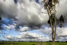 股票翻倍怎么算的:中股配资平台官网-9月2日东方财富财经晚报（附新闻联播）