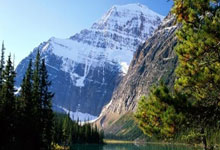 股票配资营销方案:什么是上市公司股票-什么信号？基金大手笔买入这些金融股